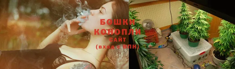 Каннабис LSD WEED  магазин    Балтийск 